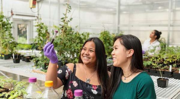 Two asian female ohsu-psu school of public health research students looking at a test vile in a greenhouse