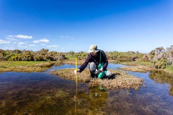 Undergraduate public health student measuring water levels in a public wet land for their PHE 404 credit course