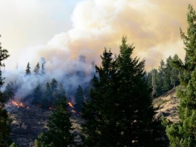 Institute on Aging Research Highlights Wildfire Preparedness Challenges in Oregon Assisted Living Communities