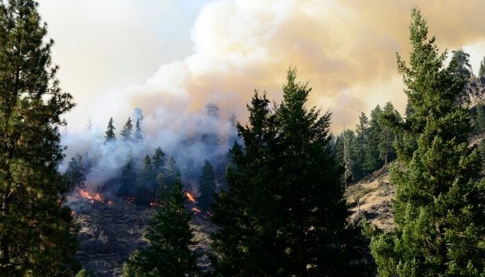 Institute on Aging Research Highlights Wildfire Preparedness Challenges in Oregon Assisted Living Communities